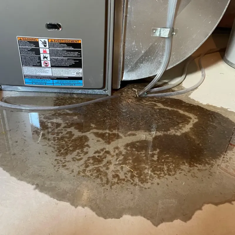 Appliance Leak Cleanup in Westfield, MA